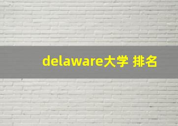 delaware大学 排名